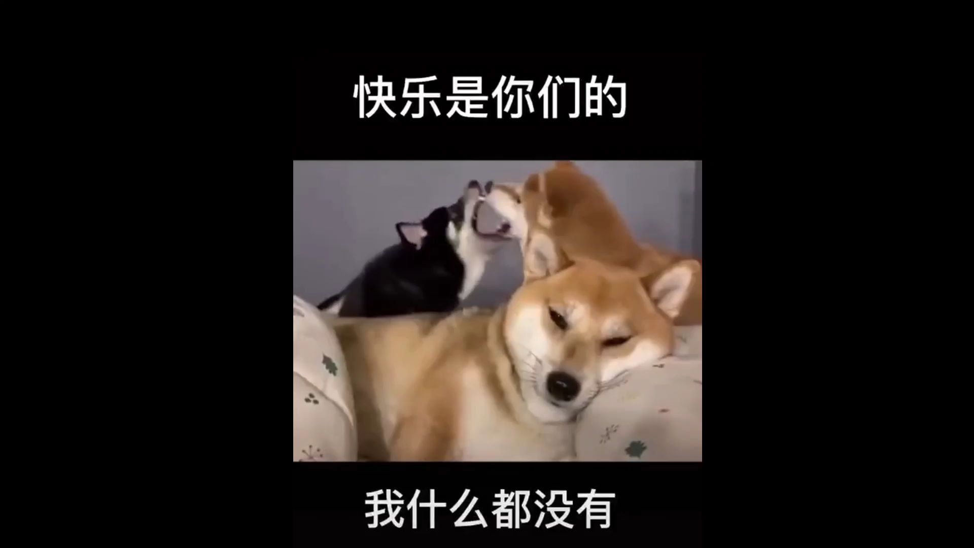 【520表白】快乐是你们的我什么都没有